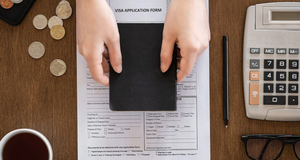 Visa Consultant